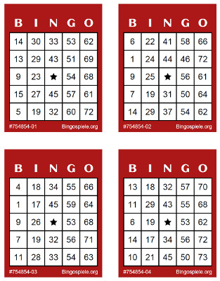 Bingo Anleitung Varianten Spiele Fur Zuhause Bingospiele